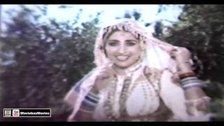 DO TERIYAN DO MERIYAN - ANJUMAN - PAKISTANI FILM AINA AUR ZINDAGI