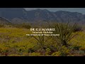 Tales from the chihuahuan desert cj alvarez