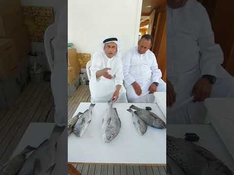 ابوظبي شرح عن سمجه الفرش مع النوخذه مطر غريب المزروعي الحلقه 2