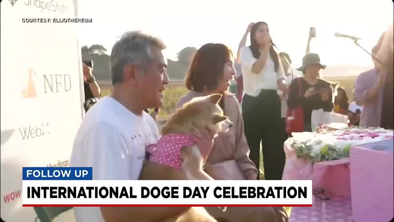 International Doge Day celebration - YouTube