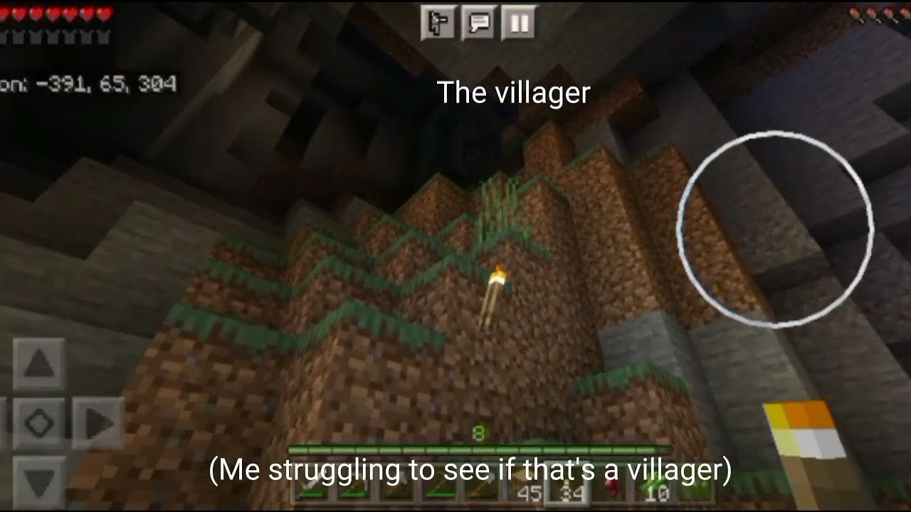Minecraft Strays YouTube