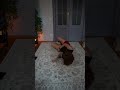 Попа полочкой дома  ✨