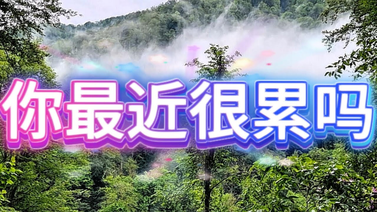 如果你最近很累，请听完这 3 小时 🍃 疗愈钢琴｜古典音乐｜深度放松・减压・自然风景陪伴