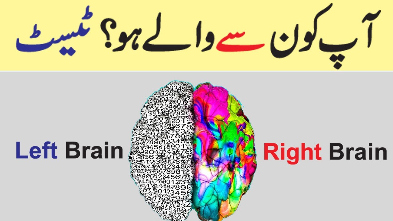 Are You Right Or Left Brain Dominance Personality Test In Urdu Youtube