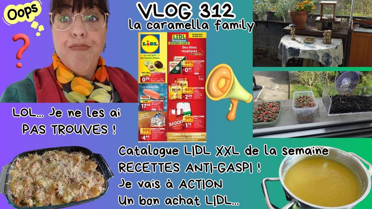 VLOG 312/2024/RECETTES ANTI-GASPI/Catalogue LIDL XXL/LOL. Je ne les ai
