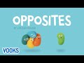 Understanding Opposites