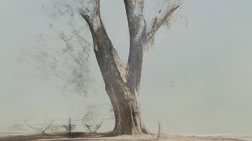 Variable density 3d point cloud of Oak Tree