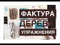 фактура дерева: упражнения