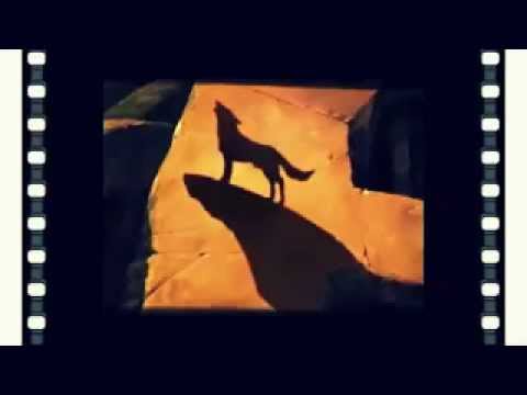 قصة الذيب أداء محمد الفريح