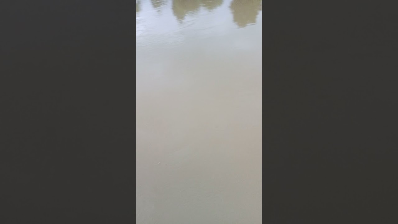 PremrNadi rasgulla gaon mein