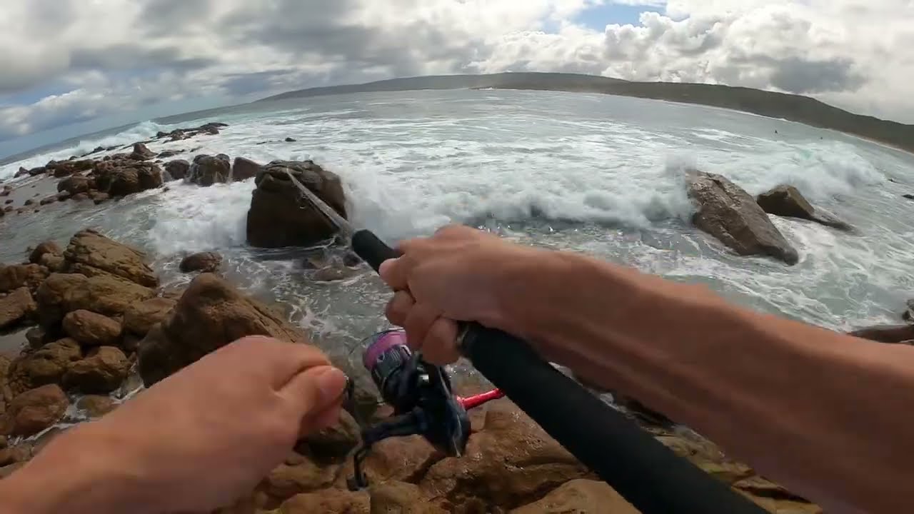 ZENAQ FOKEETO TWITCH x TWINPOWER XD MY NEW OUT FIT