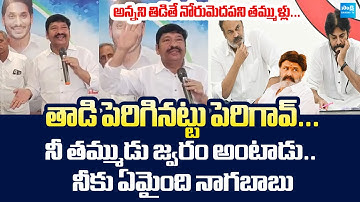 YSRCP Jogi Ramesh Sensational Comments On Pawan Kalyan And Nagababu | Balakrishna @SakshiTVLIVE