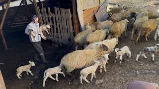KAR YAĞMADAN ÖNCE KÖYDE HAYAT..