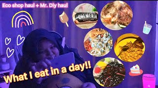 what i eat in a day ? ??? + eco shop haul & mr. diy haul? (aesthetic vlog) | malaysia