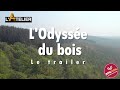 L'ODYSSEE DU BOIS, de la graine au meuble 🌳 - TRAILER