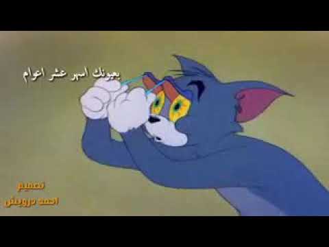 مانم حالاف لا مانام