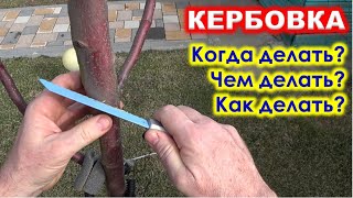 КЕРБОВКА. Когда делать кербовку? ЧЕМ делать КЕРБОВКУ? Как делать кербовку?