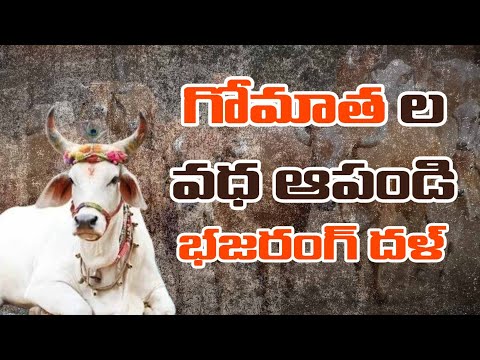 Bajrang Dal Warns Telangana Govt: Stop Cow Slaughter in the Name of Bakrid – BAJRANGDAL  Shivaramulu