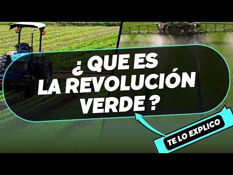 LA REVOLUCIÓN VERDE en 4 minutos