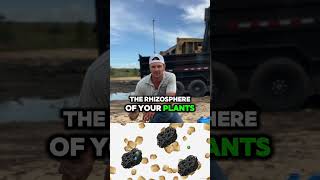 How We Apply BAR Biochar for Florida