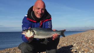 Chesil Beach Fishing October 2016 Autumn Harvest