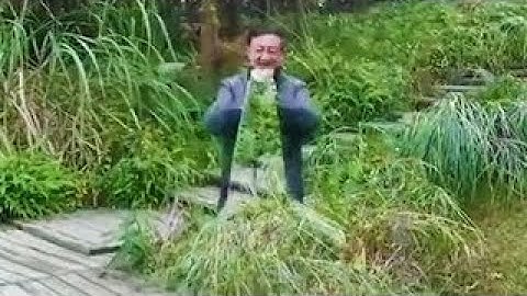 Fully Functional Quantum Invisibility Cloak ?