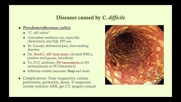 Clostridium difficile - Microbiology Boot Camp