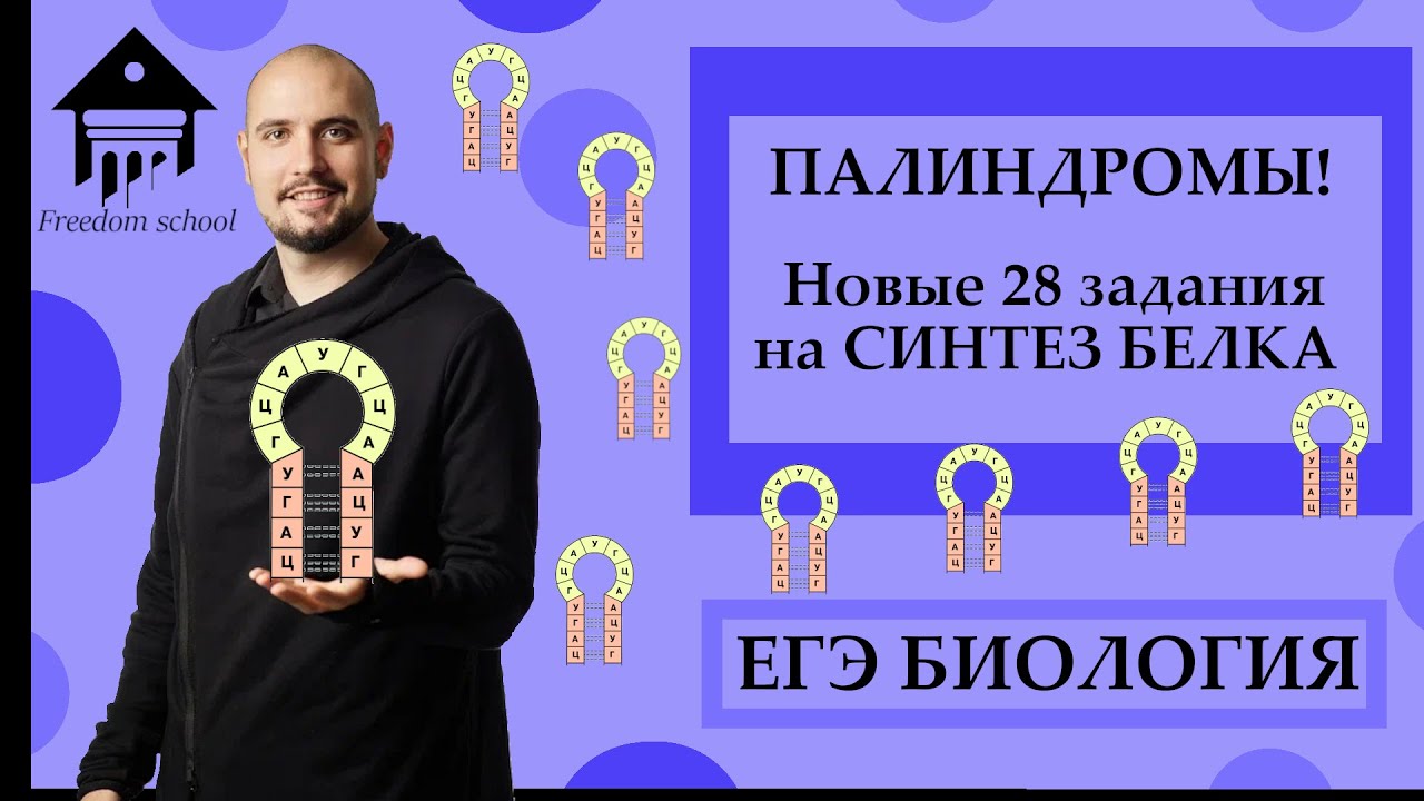 ПАЛИНДРОМЫ! Новые задачи 28 на СИНТЕЗ БЕЛКА ЕГЭ 2023 |ЕГЭ БИОЛОГИЯ ...