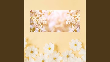 Sophisticated Backdrops for Summer Loves