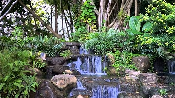 سورة الملك كاملة بصوت احمد الحداد تلاوة مرتلة جميلة خاشعة مبكية