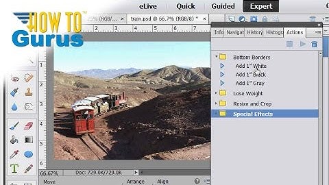 How to use Automated Actions in Adobe Photoshop Elements 15 14 13 12 11 Tutorial