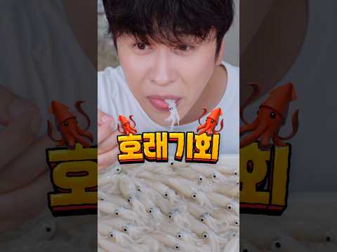 통째로 먹는 <strong>호래기회</strong> 🦑