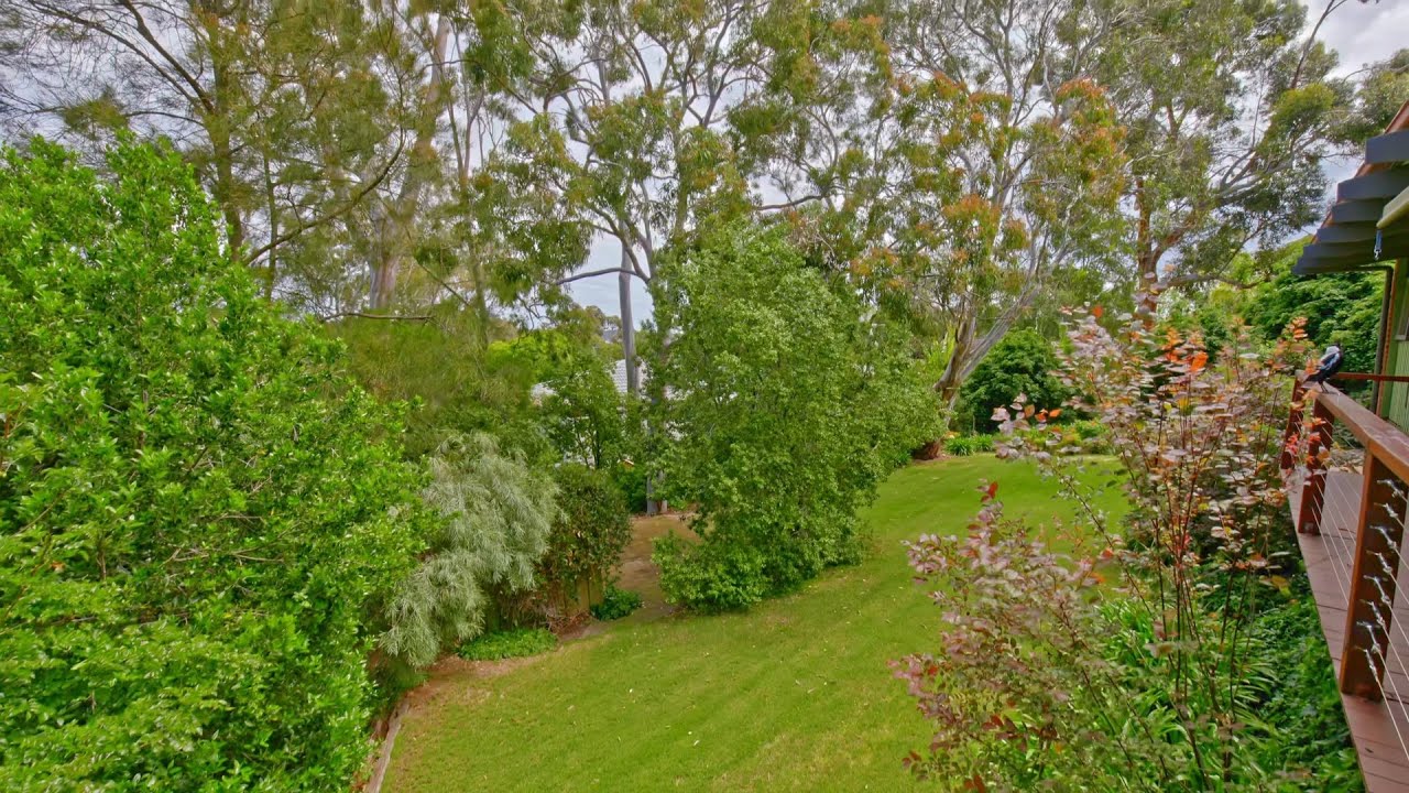 Leafy Family Living - 14 Hurds Hill Drive | Coromandel Valley with Valerie Timms & Ellie Purton