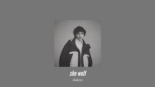 Video thumbnail of "( slowed down ) she wolf"