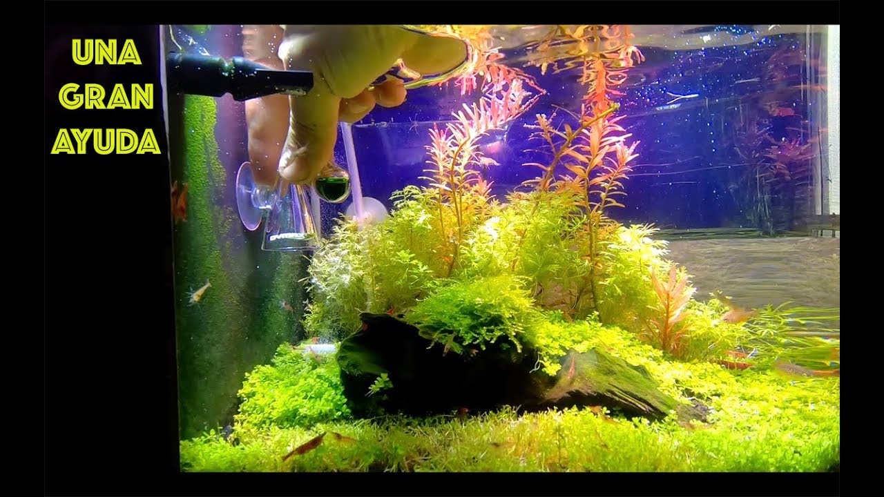 2 Unids Acuario CO2 Monitor Cristal Gota Inspector Tanque Accesorios Para Peceras CO2 Prueba
