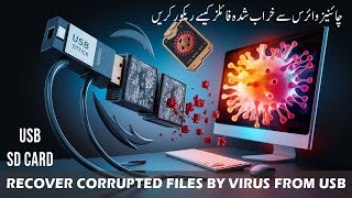 How to Recover Corrupted Files by Virus from USB or SD Card | USBC volume, USBC virus. Chinese Fix