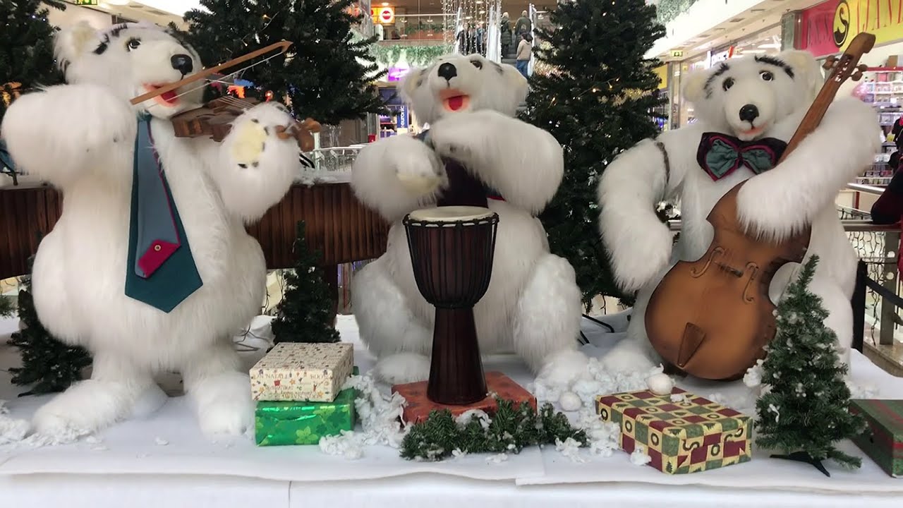 Polar Bears Playing Music In A Mall Musician Polar Bears Playing Violin ...