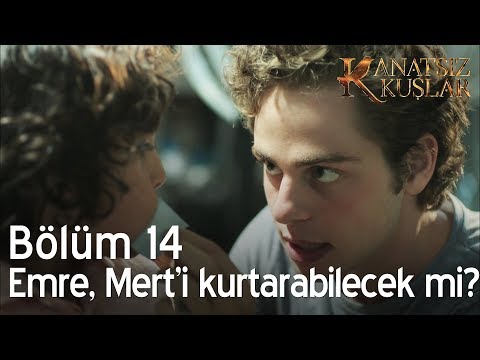 Emre, Mert'i  kurtarabilecek mi? - Kanatsız Kuşlar 14. Bölüm