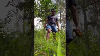 Survival skills: First aid for snake bites🐍#camping#survival#bushcraft#outdoors