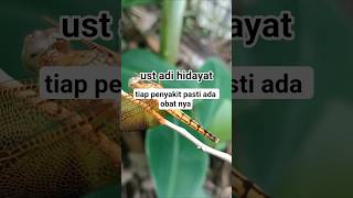 allah pasti sembuhkan#ustadzadihidayat