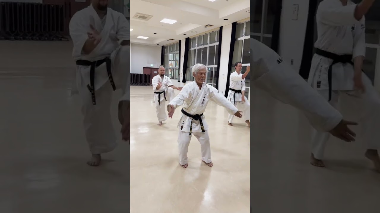 Kata Seiryu / Sensei Kensho Kina 9 dan / Okinawa Uechi ryu karate do organization