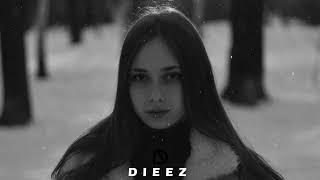 DIEEZ - Night Long (Orginal Mix)