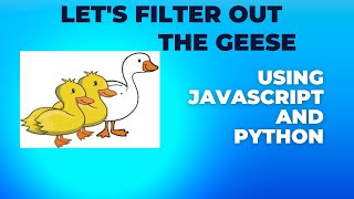Remove all Geese? Javascript and Python will do it for you. Learn how to code by solving problems
