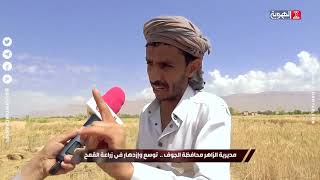 السلطة الرابعة | مديرية الزاهر محافظة الجوف ..  توسع وإزدهار في زراعة القمح | قناة الهوية