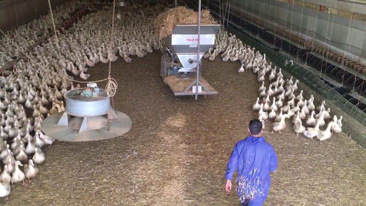 PAILLE AVIC SUR RAILS