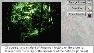 Biology: Biomes: The Deciduous Forest Part 1