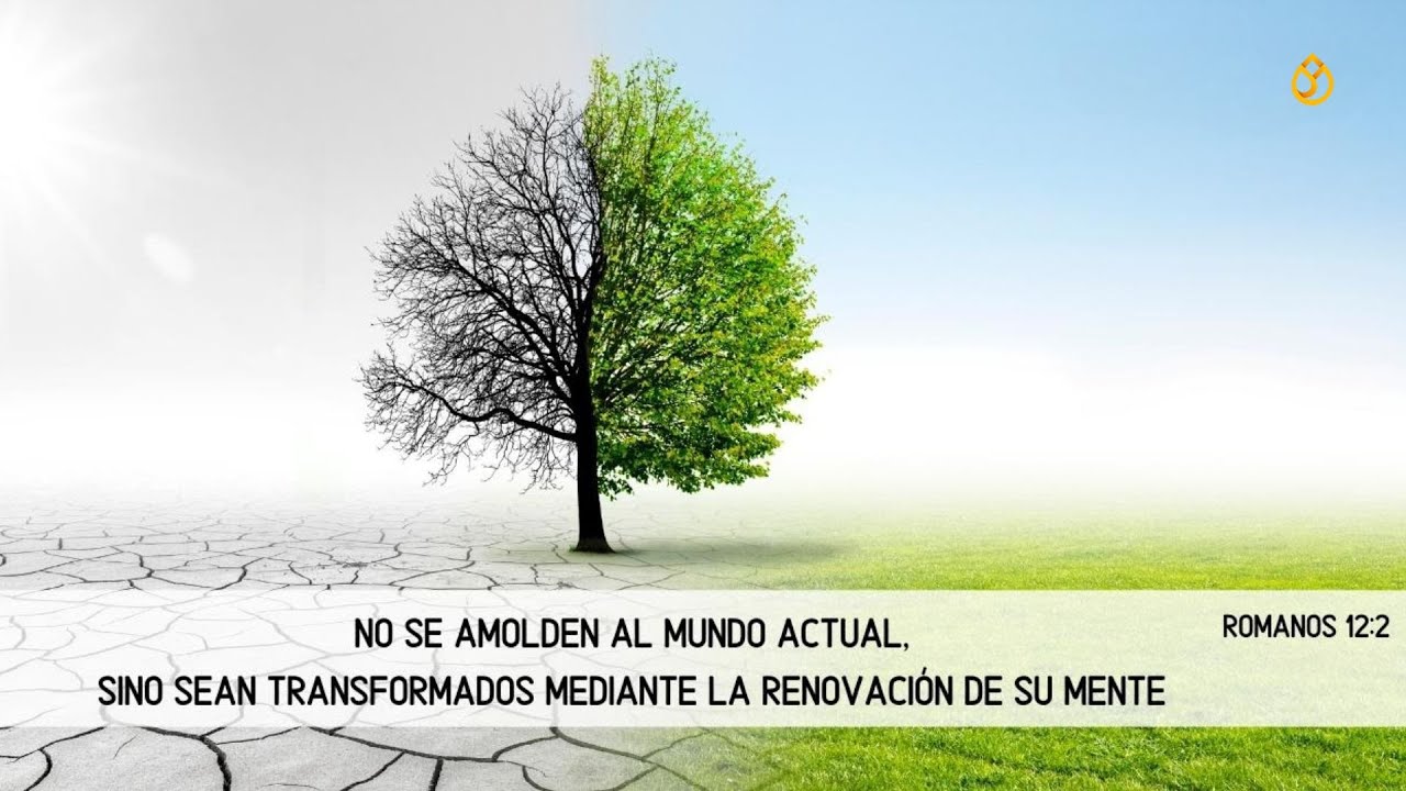 Cambia tu Manera de Pensar y Cambiará Tu Manera de Vivir - YouTube