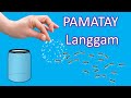 Mabisang Pampawala ang Pesteng Langgam Sa Bahay: Pamatay Pangontra Ants