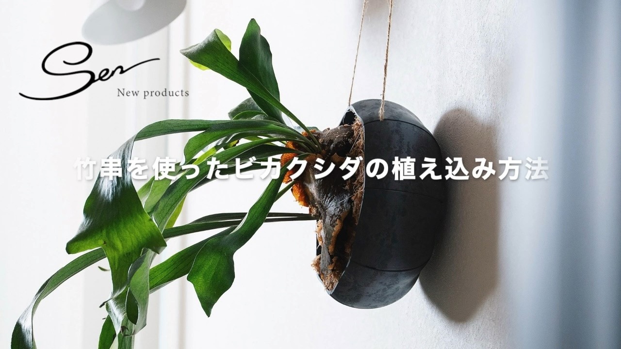 八幡化成株式会社』|Sen Roly Pots Shallow セン ローリーポット 丸 浅型