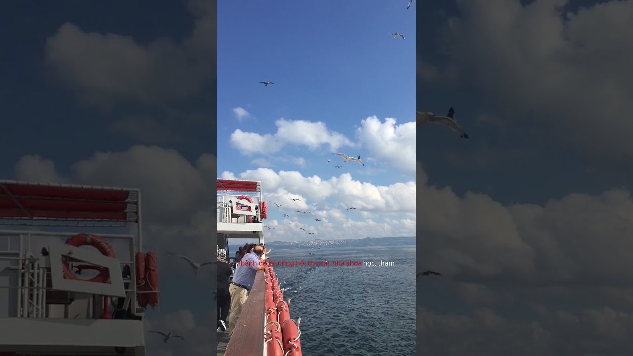 🔥 Tam Giác Quỷ Bermuda – Bí Ẩn Chết Người Giữa Đại Dương Không Lời Giải!